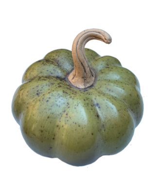 Calabaza chata